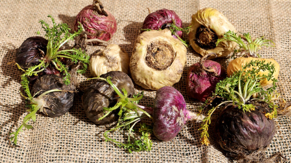 マカ（Maca）